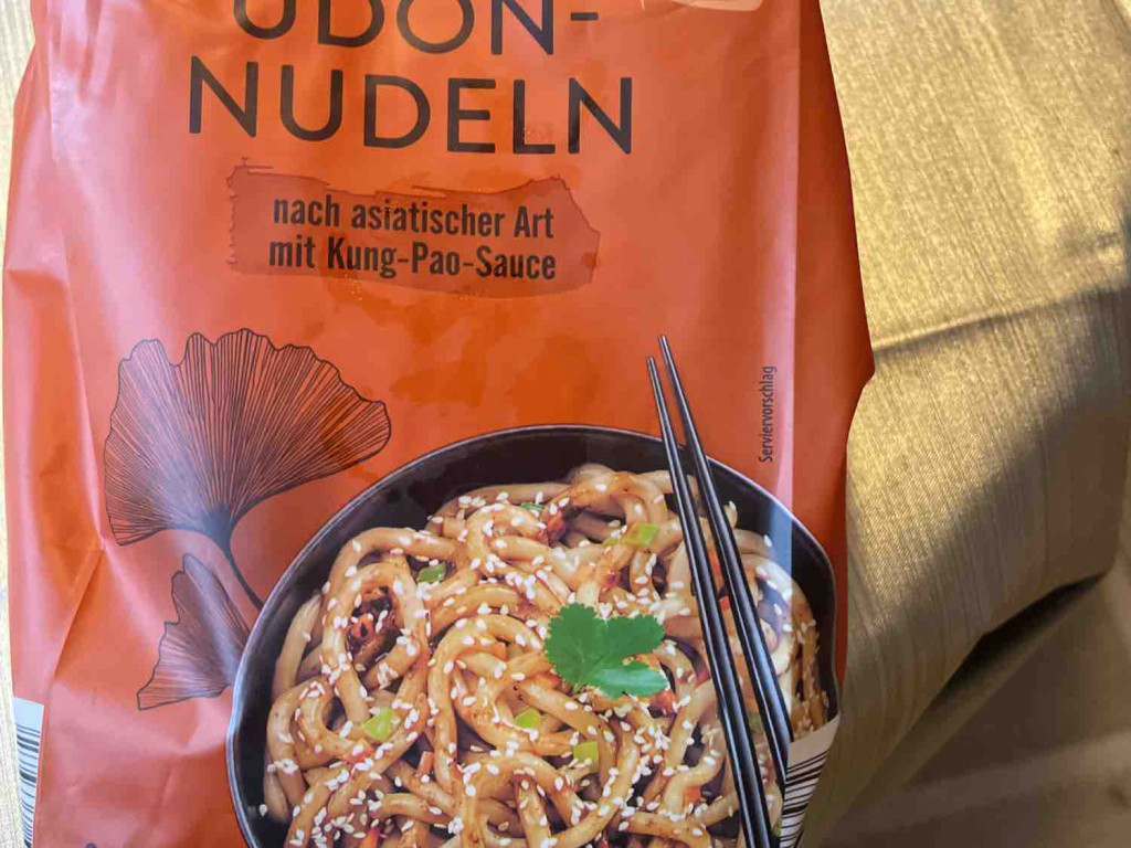 Udon Nudeln, mit Kung-Pau-Sauce von EdmundNikolaus | Hochgeladen von: EdmundNikolaus