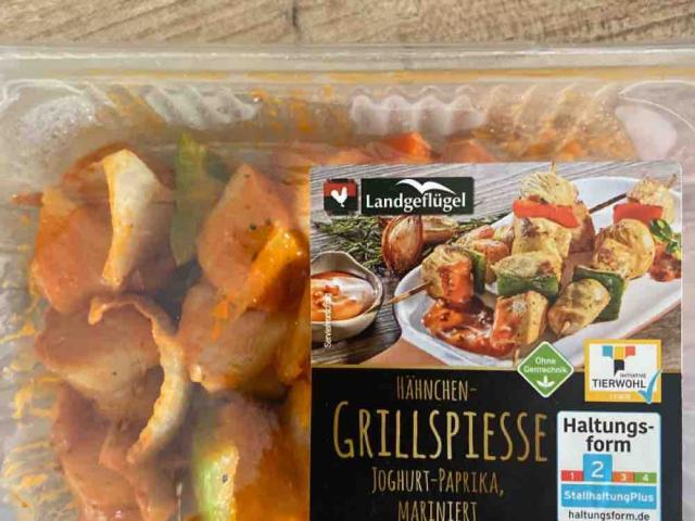 Hähnchen Grillspiesse Joghurt Paprika von therrsa16 | Hochgeladen von: therrsa16