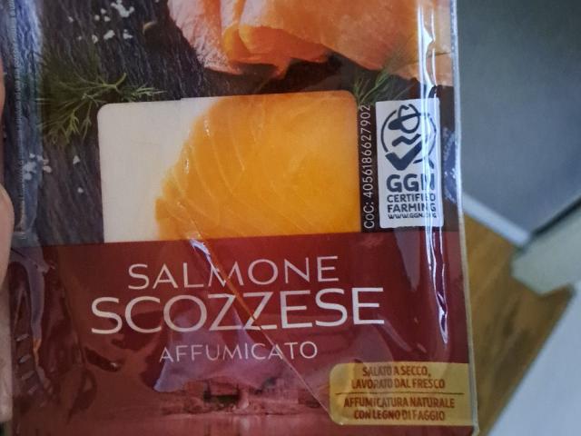 Hochgeladen von: Zitananas