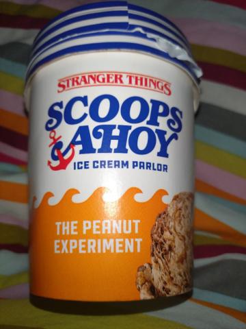 Scoops Ahoy Ice cream parlor, The Peanuts Experiment von Tortenm | Hochgeladen von: Tortenmacher