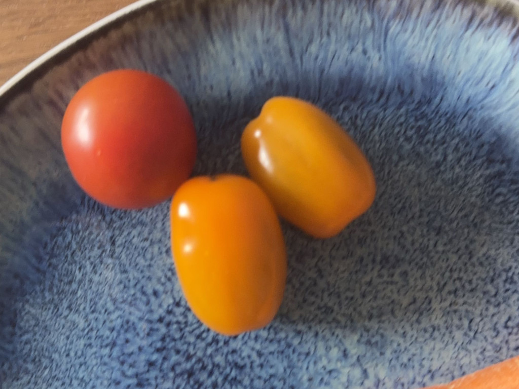 Cocktailtomaten von 17273919 | Hochgeladen von: 17273919 Cocktailtomaten von 17273919 | Hochgeladen von: 17273919