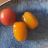 Cocktailtomaten von 17273919 | Hochgeladen von: 17273919