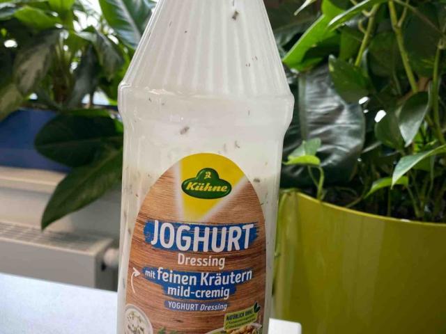 Joghurt Dressing, mit feinen Kräutern von nokow | Hochgeladen von: nokow