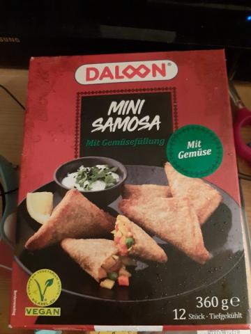 Mini Samosas von Caillean87 | Hochgeladen von: Caillean87