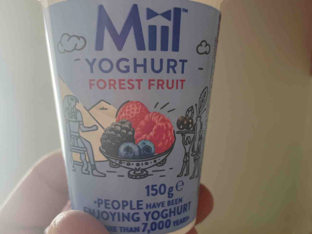 Miil Yoghurt Forest Fruit, 3,7% Fett von gogolscircus | Hochgeladen von: gogolscircus