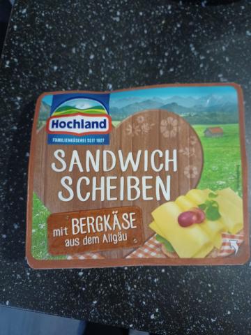 Sandwich Scheiben, mit Bergkäse von michi114 | Hochgeladen von: michi114