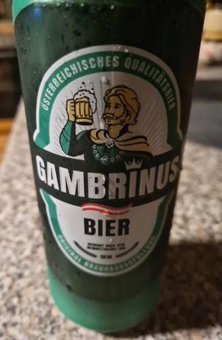 Gambrinus Bier | Hochgeladen von: Kautzinger
