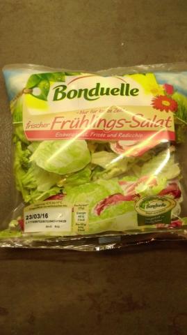 frischer Frühlings-Salat | Hochgeladen von: MaPe1980