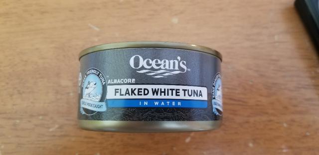 Flaked white tuna in water by V PROTOTYPE | Uploaded by: V PROTOTYPE