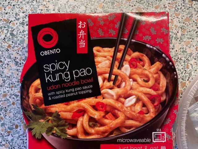 Obento spicy kung pao udon noodle bowl, scharf! von lennartlesch | Hochgeladen von: lennartleschowski